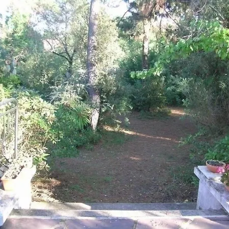 Av De L Ocean * La Palmyre